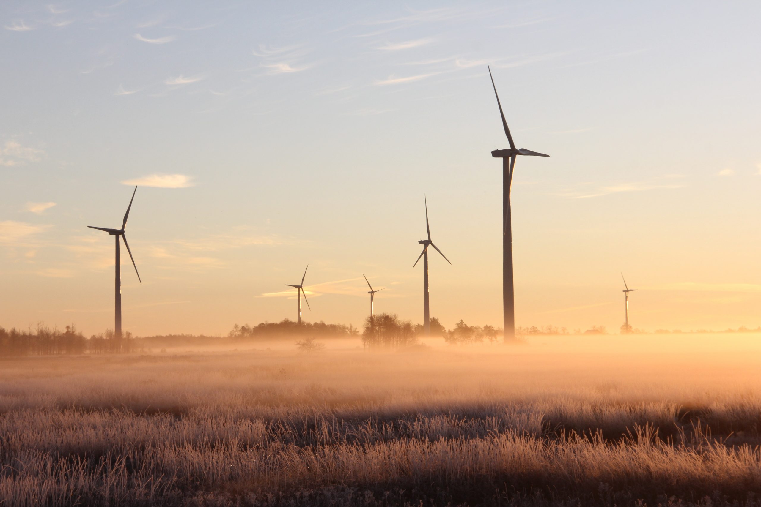 Erneuerbare Energie aus Windkraft